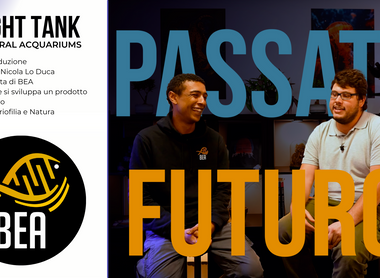 BEA: Passato, Presente e Futuro dell'Aquariofilia.