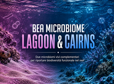 BEA MICROBIOOM