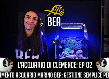 Acquario Marino BEA: Gestione semplice per Neofiti: EP. 02