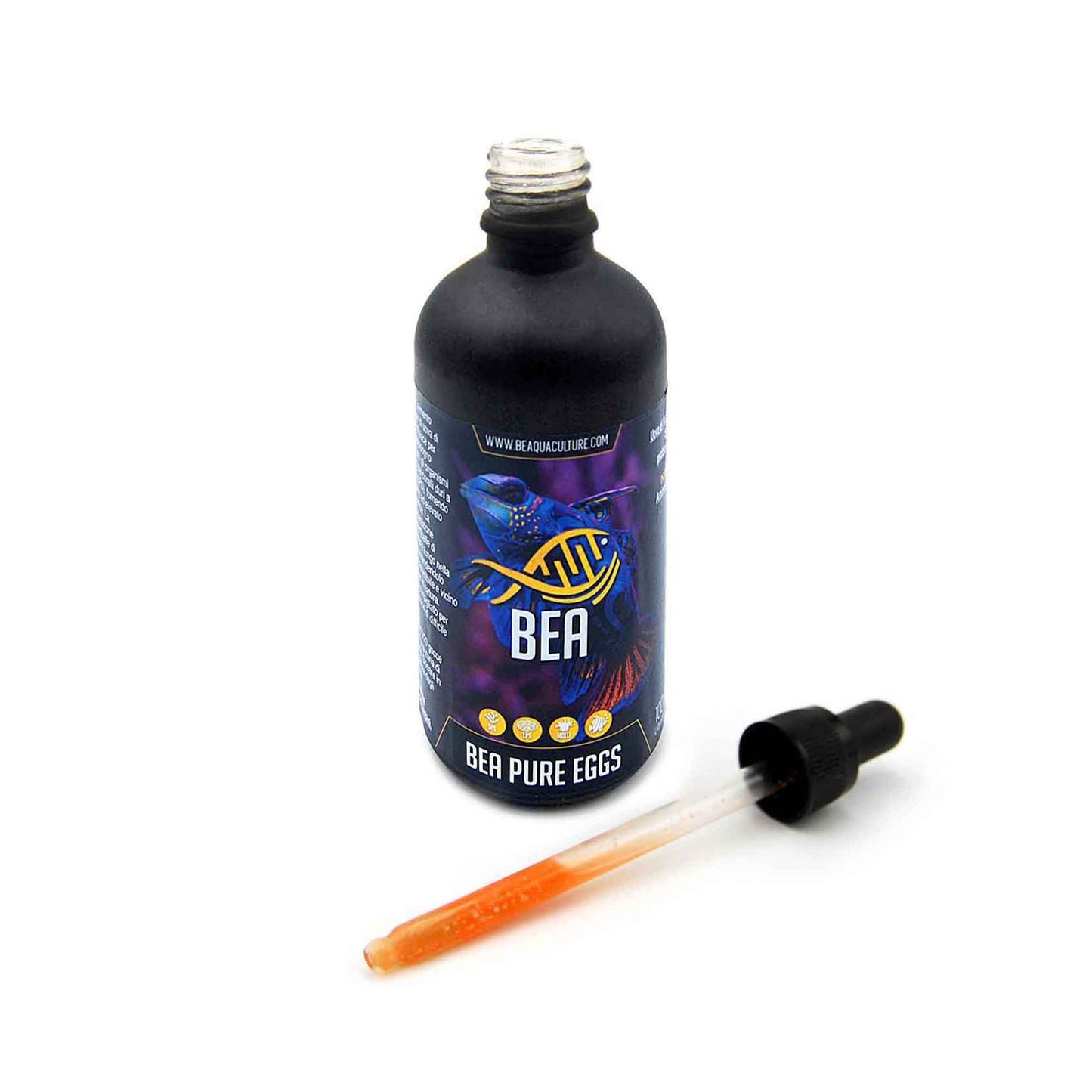 BEA Eggs